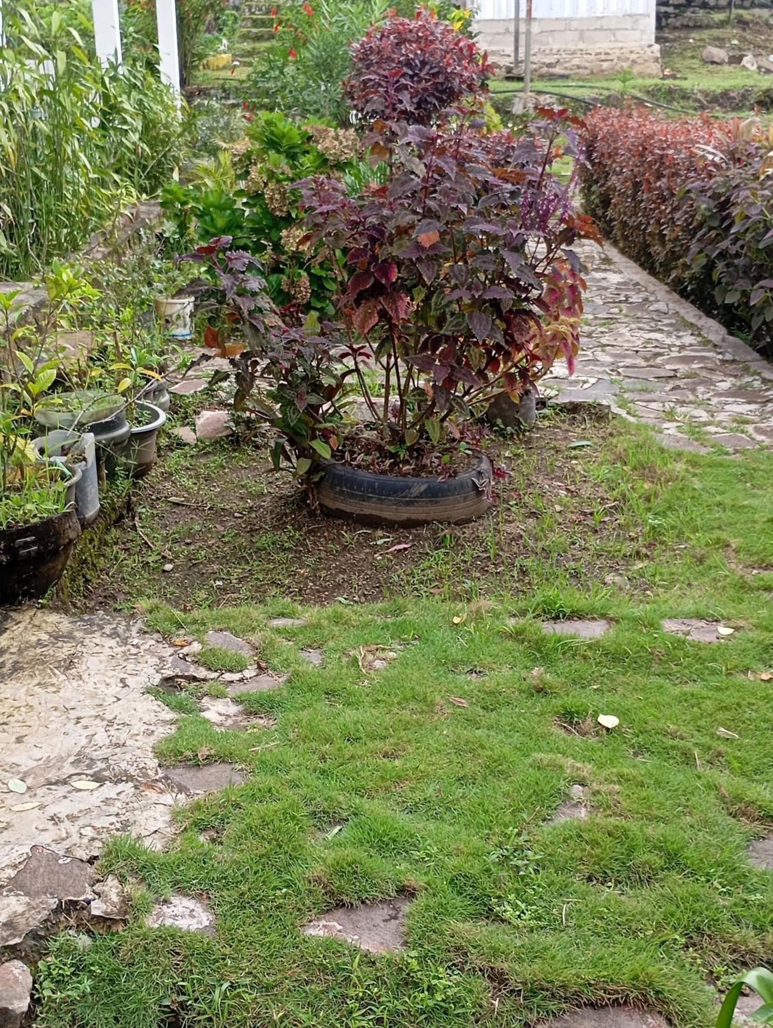 Hidayah Homestay كيليموتو المظهر الخارجي الصورة